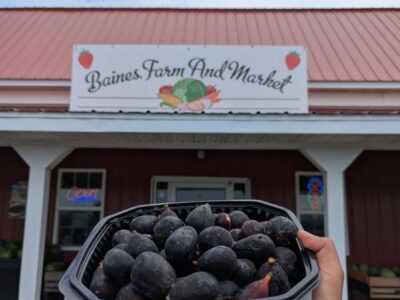 Baine’s Farm & Market – Machipongo, Virginia