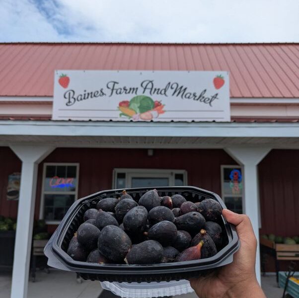 Baine’s Farm & Market – Machipongo, Virginia