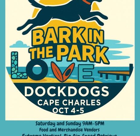 Bark in the Park Dock Dogs event in Cape Charles