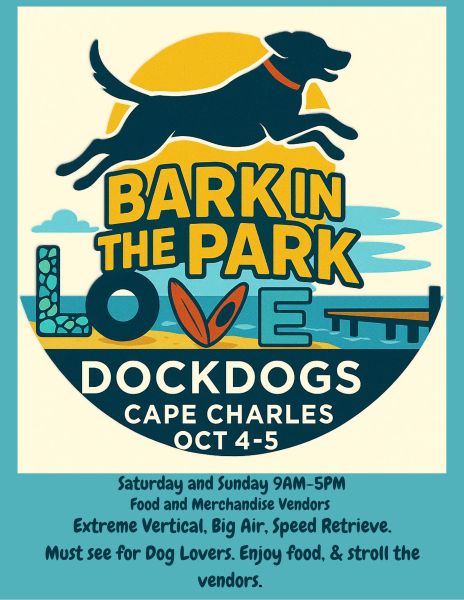 Bark in the Park Dock Dogs event in Cape Charles