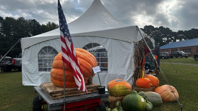 Eastern Shore Agricultural Fair Giant Pumpkins