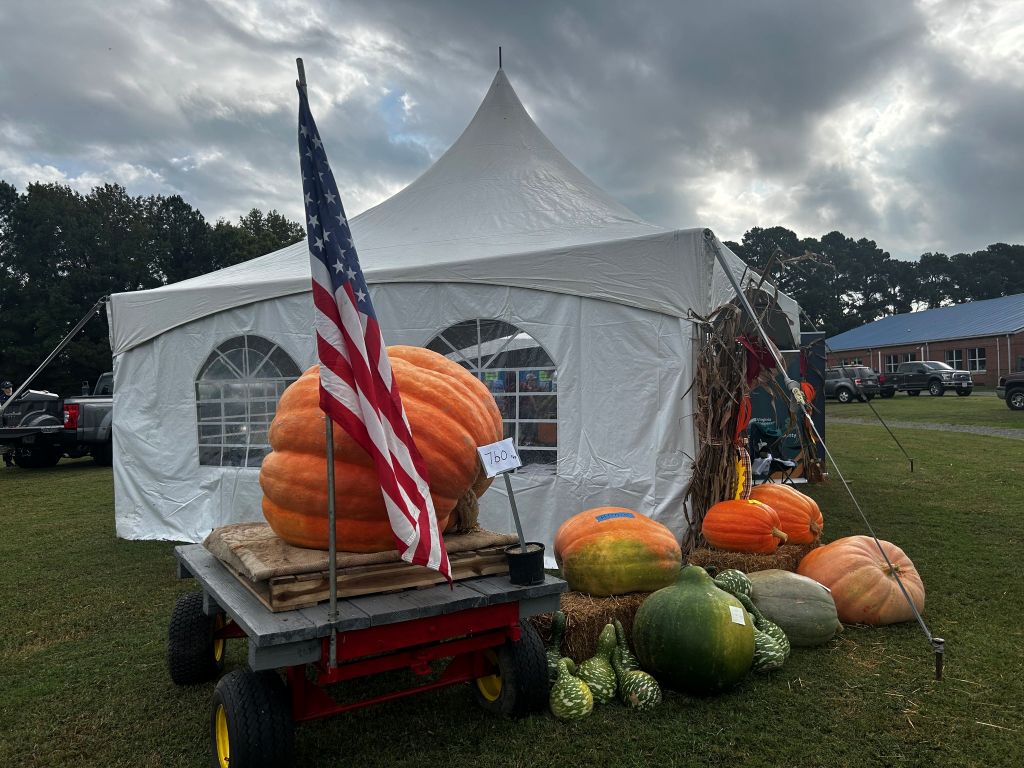 Eastern Shore Agricultural Fair Giant Pumpkins