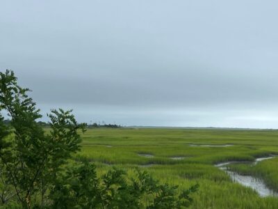 Eastern Shore of Virginia National Wildlife Refuge