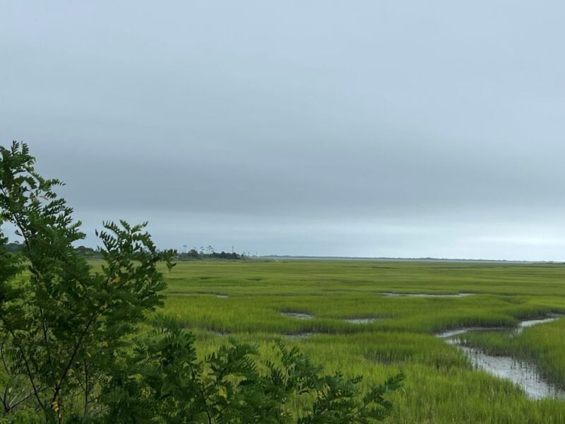 Eastern Shore of Virginia National Wildlife Refuge