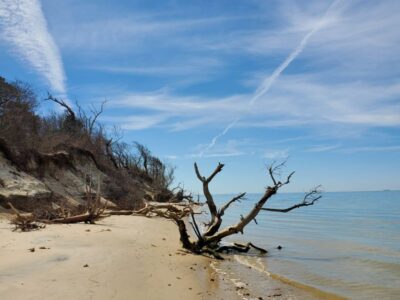 Savage Neck Dunes Natural Area Preserve – Eastville, VA