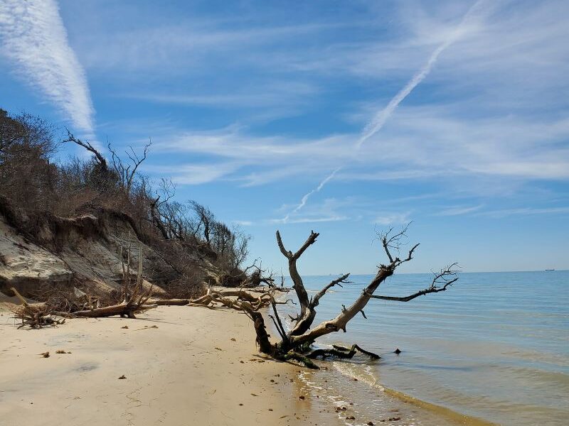 Savage Neck Dunes Natural Area Preserve – Eastville, VA