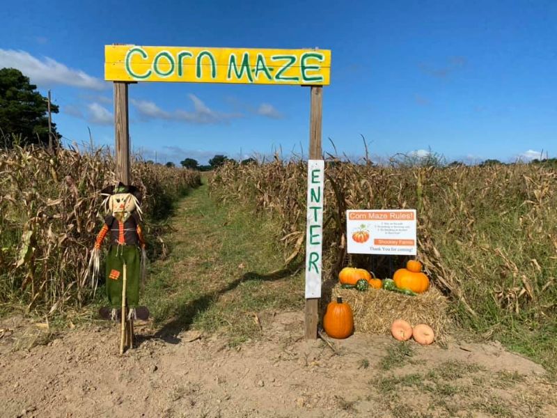 Shockley Farms – Cape Charles, Virginia